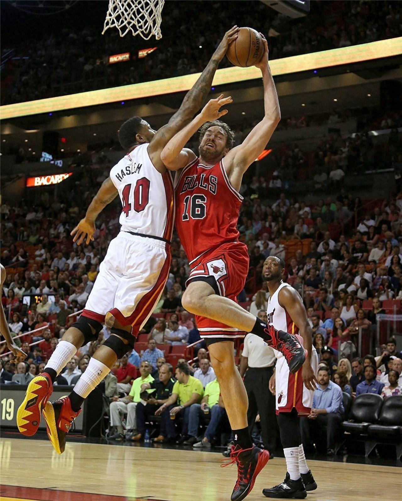 家队的最新 家队的最新