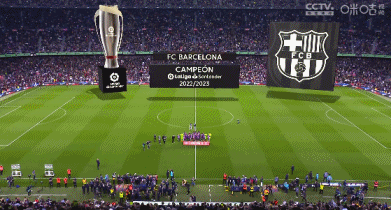 市与一位球 市与一位球